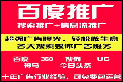 某电商平台的SEM关键词策略及成效分析